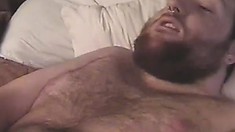 Bearded white boy gets a taste of a chubby chocolate bear's dick